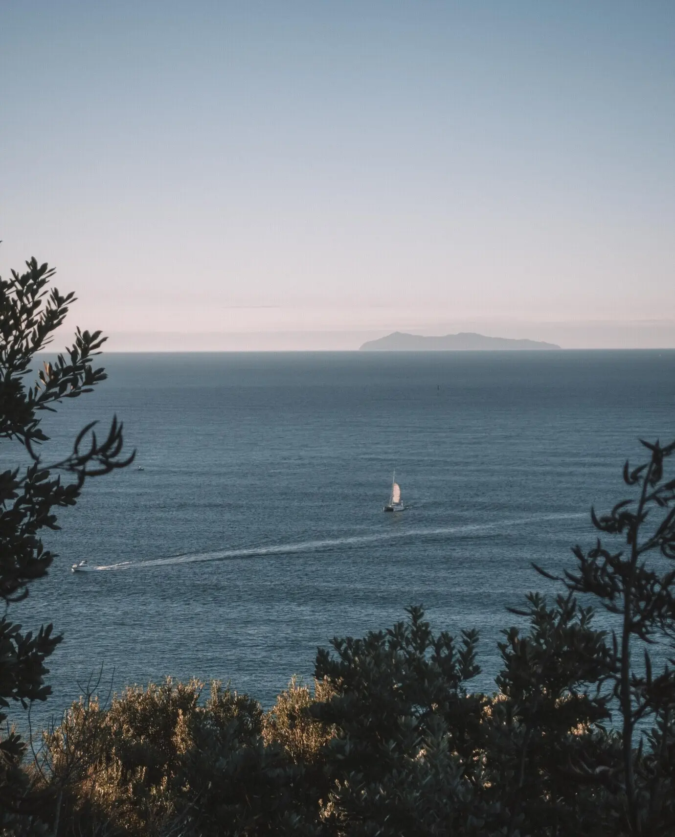 Toma vertical de árboles cerca del mar con barcos y cielo despejado.